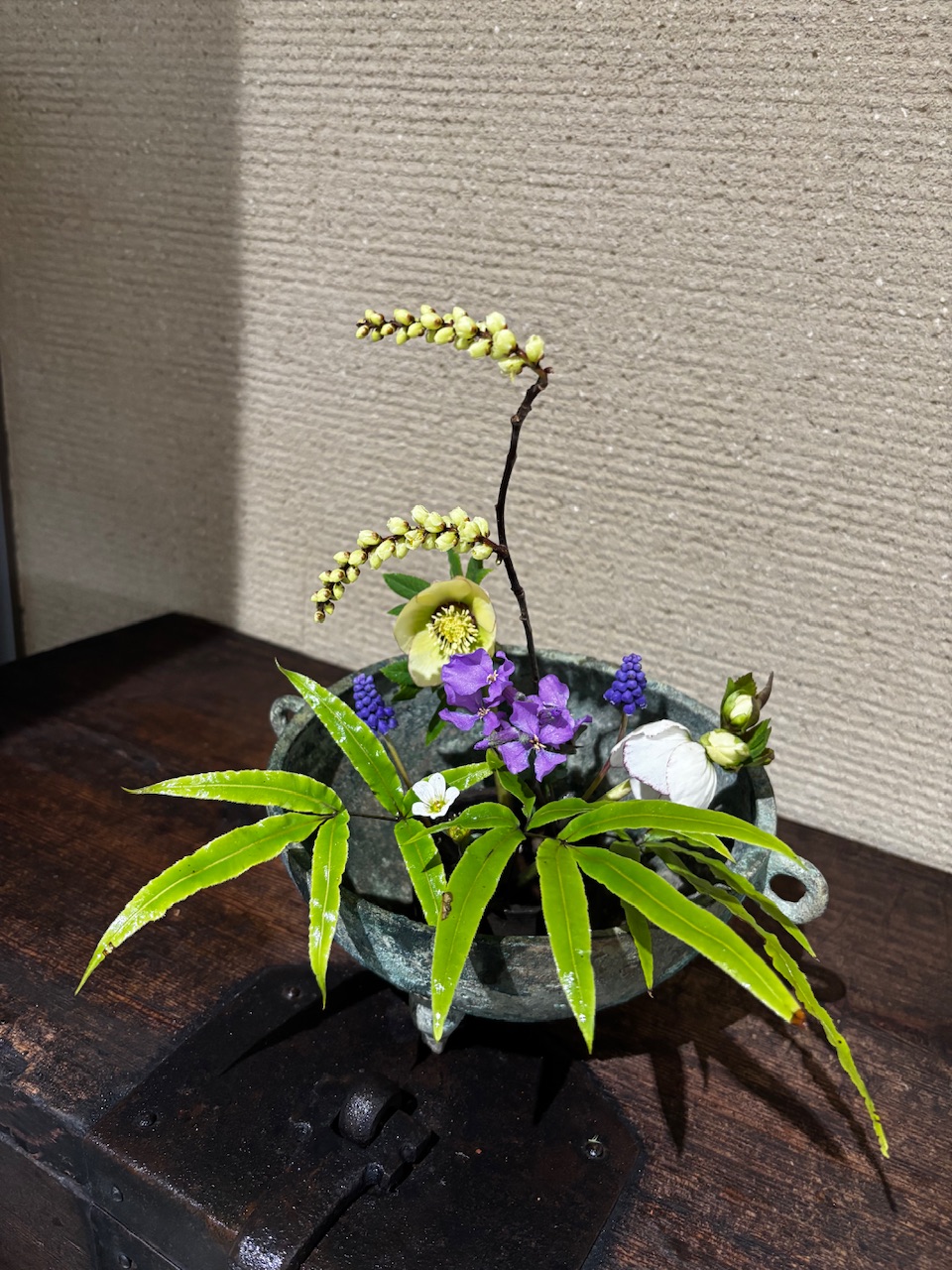 本日のクリニックの花々