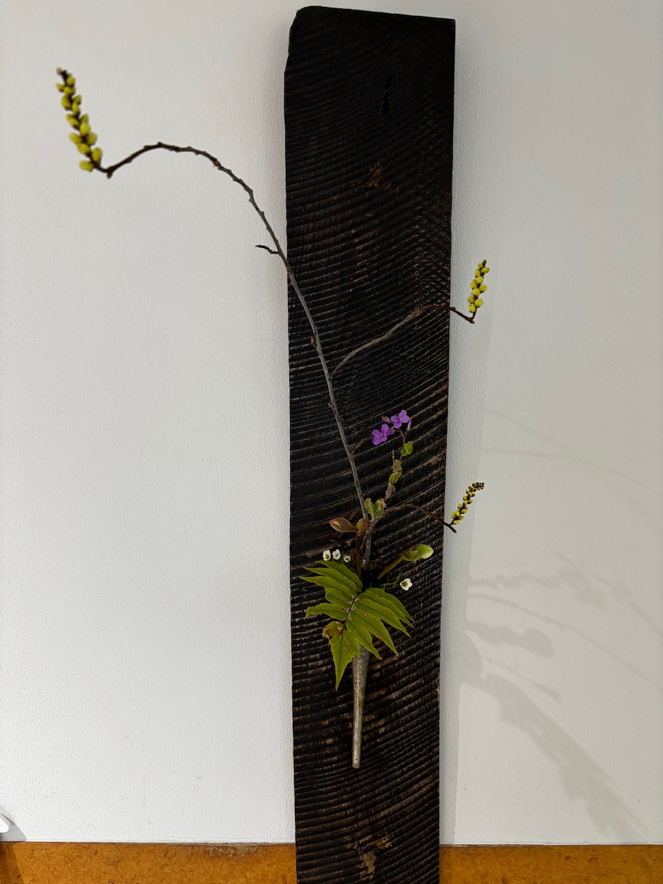 本日のクリニックの花々