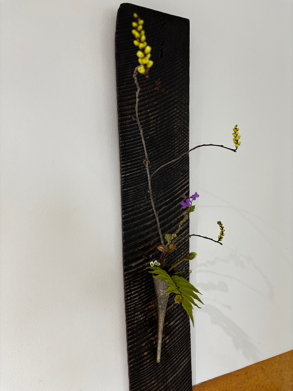 本日のクリニックの花々