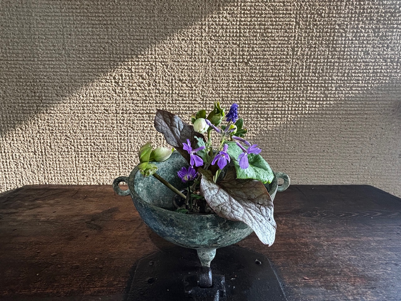 本日のクリニックの花々