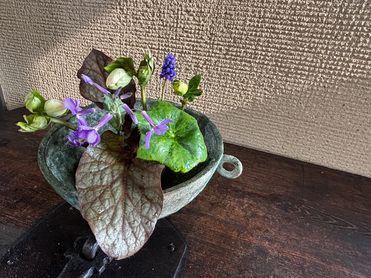 本日のクリニックの花々