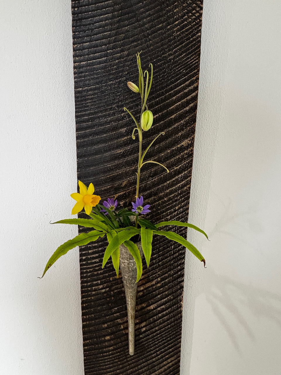 本日のクリニックの花々