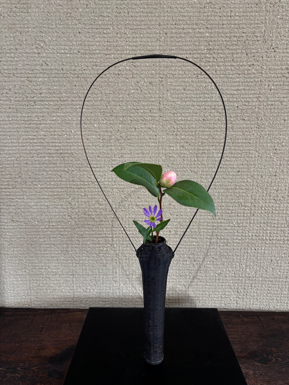 本日のクリニックの花々