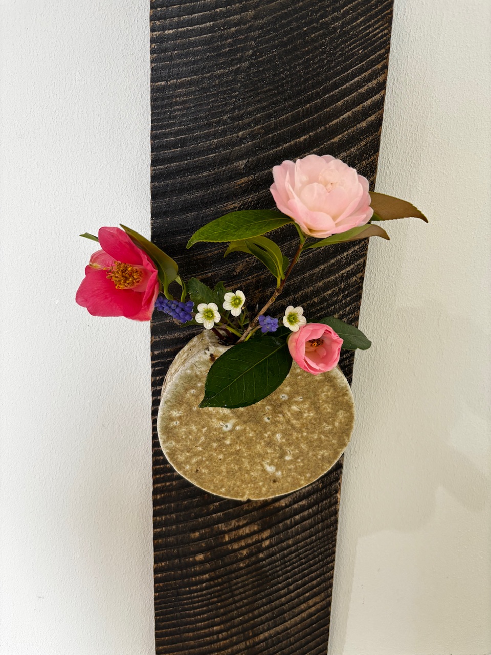 本日のクリニックの花々