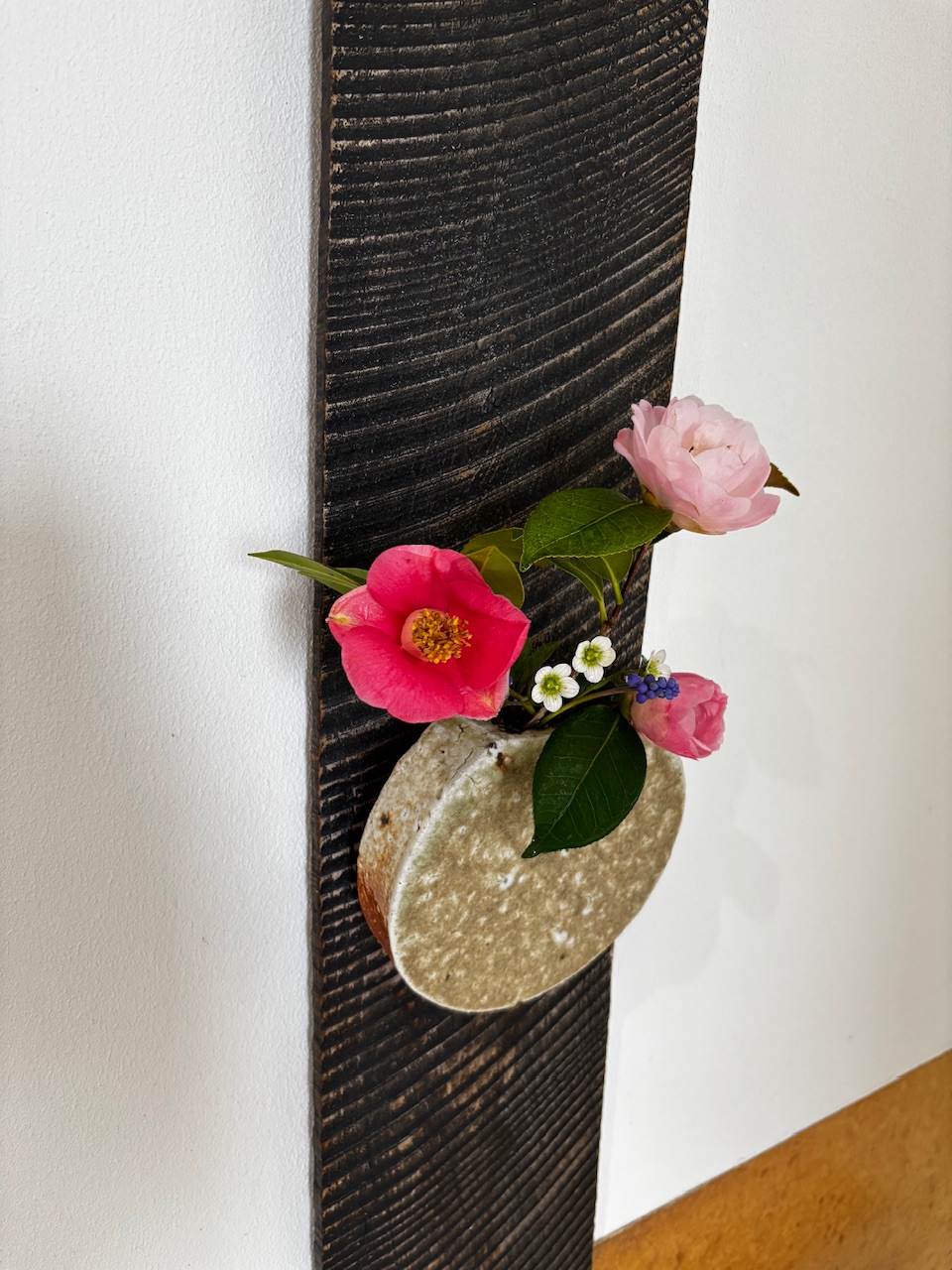 本日のクリニックの花々