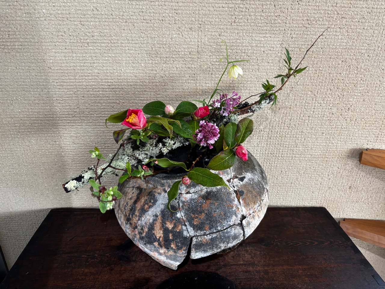 本日のクリニックの花々