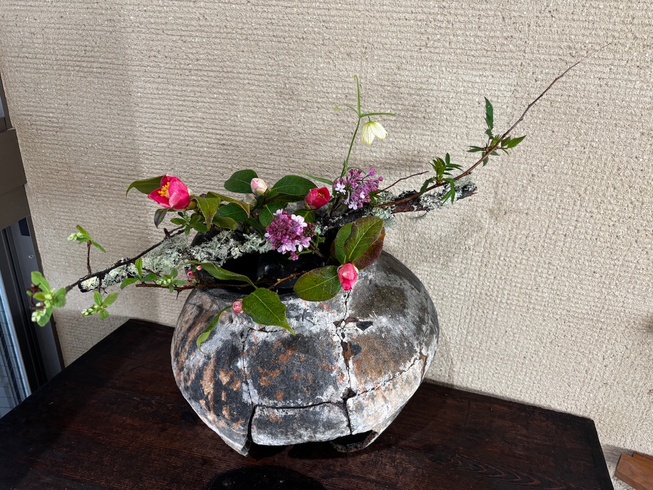 本日のクリニックの花々