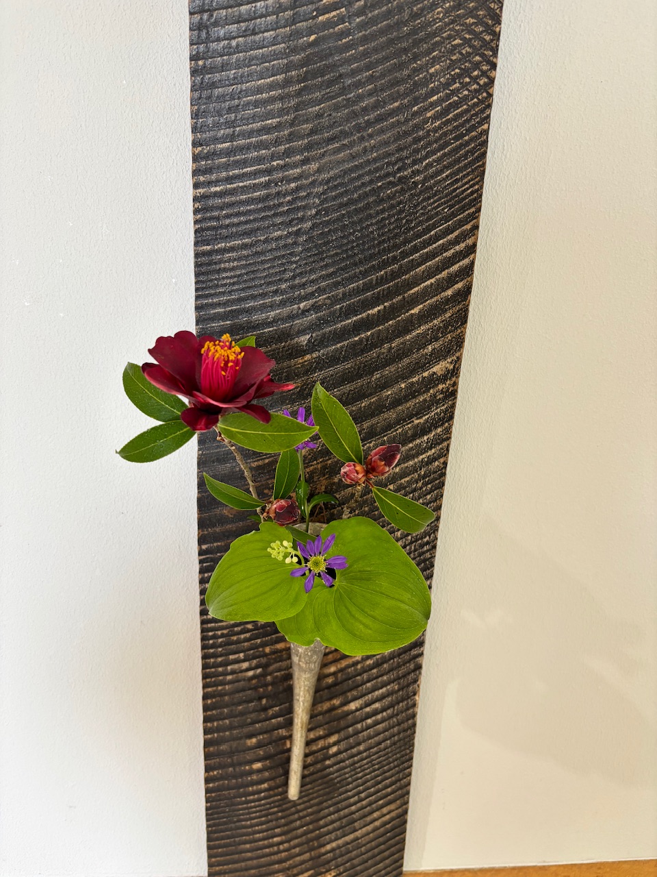 本日のクリニックの花々