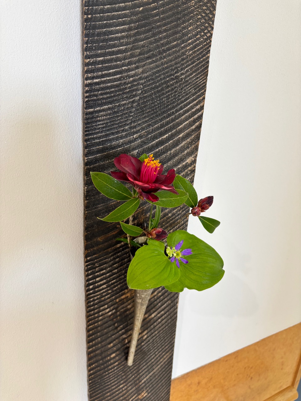 本日のクリニックの花々