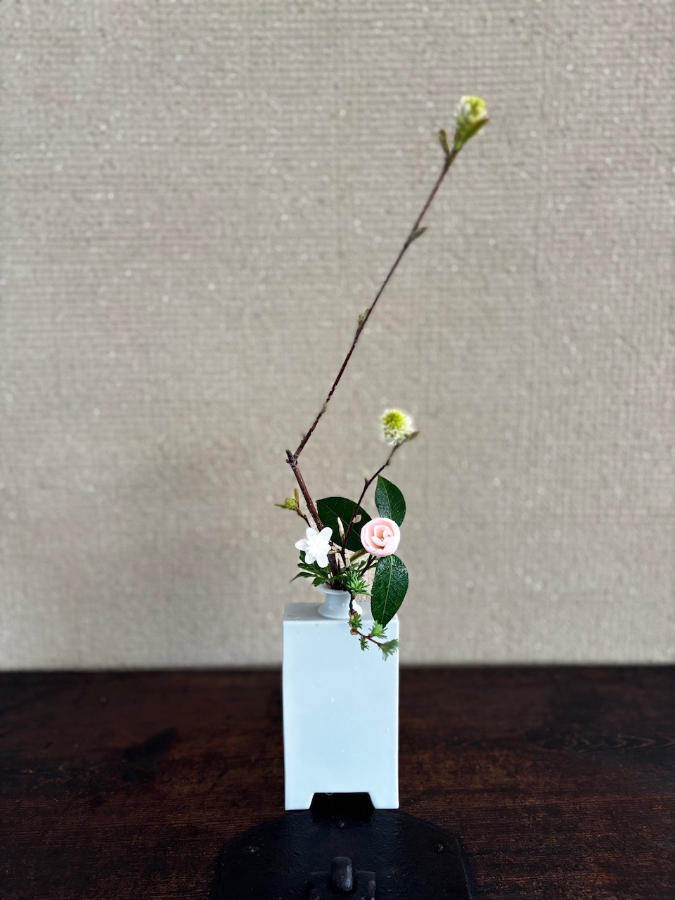 本日のクリニックの花々