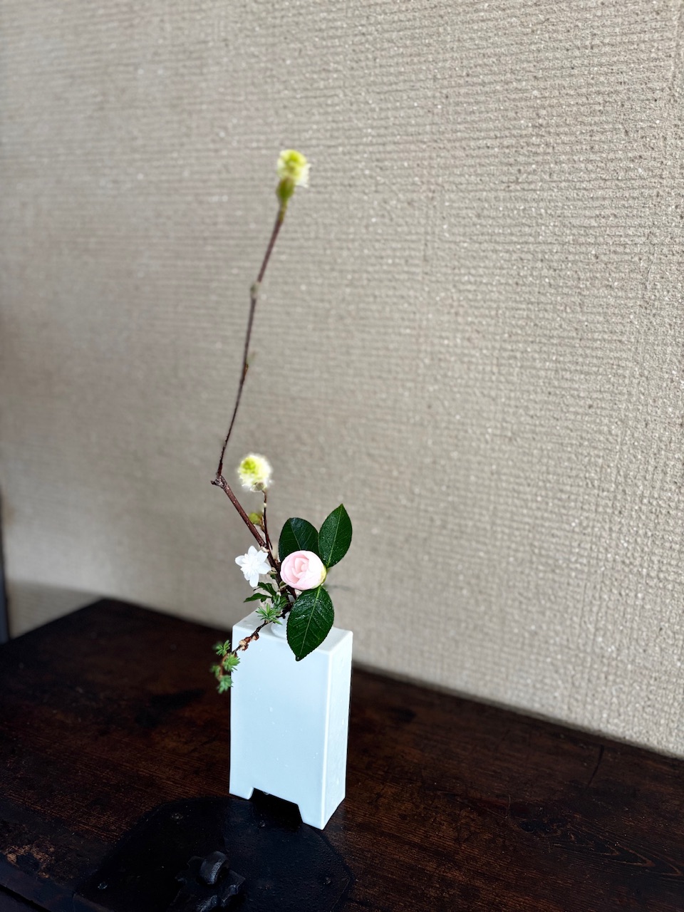 本日のクリニックの花々