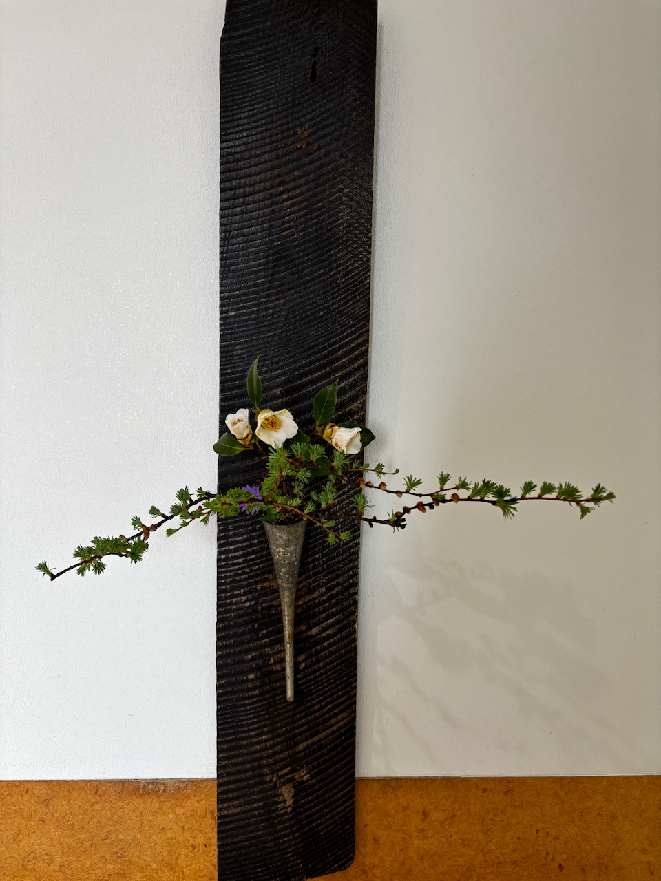 本日のクリニックの花々