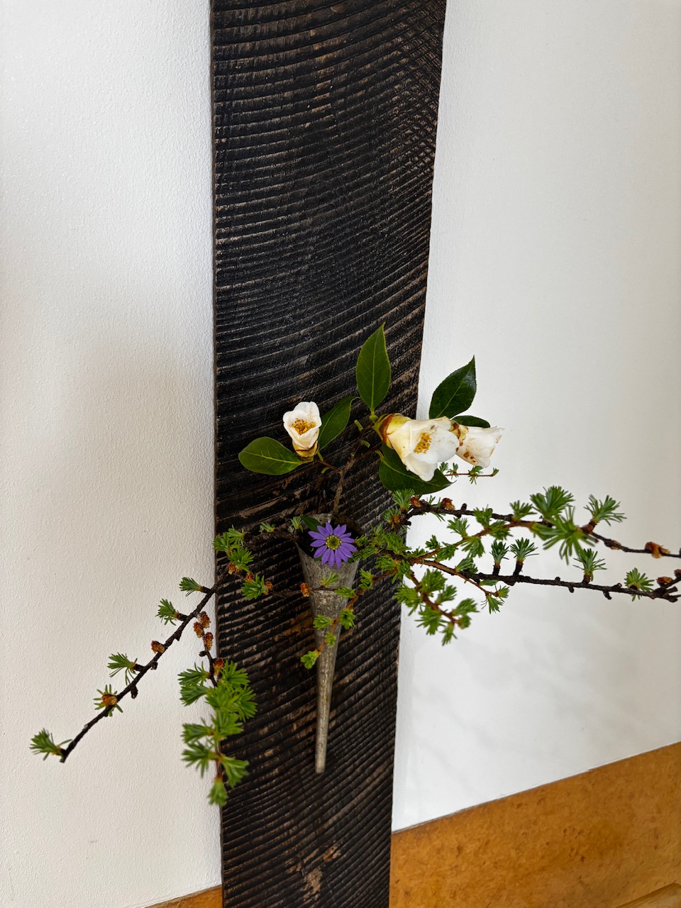 本日のクリニックの花々