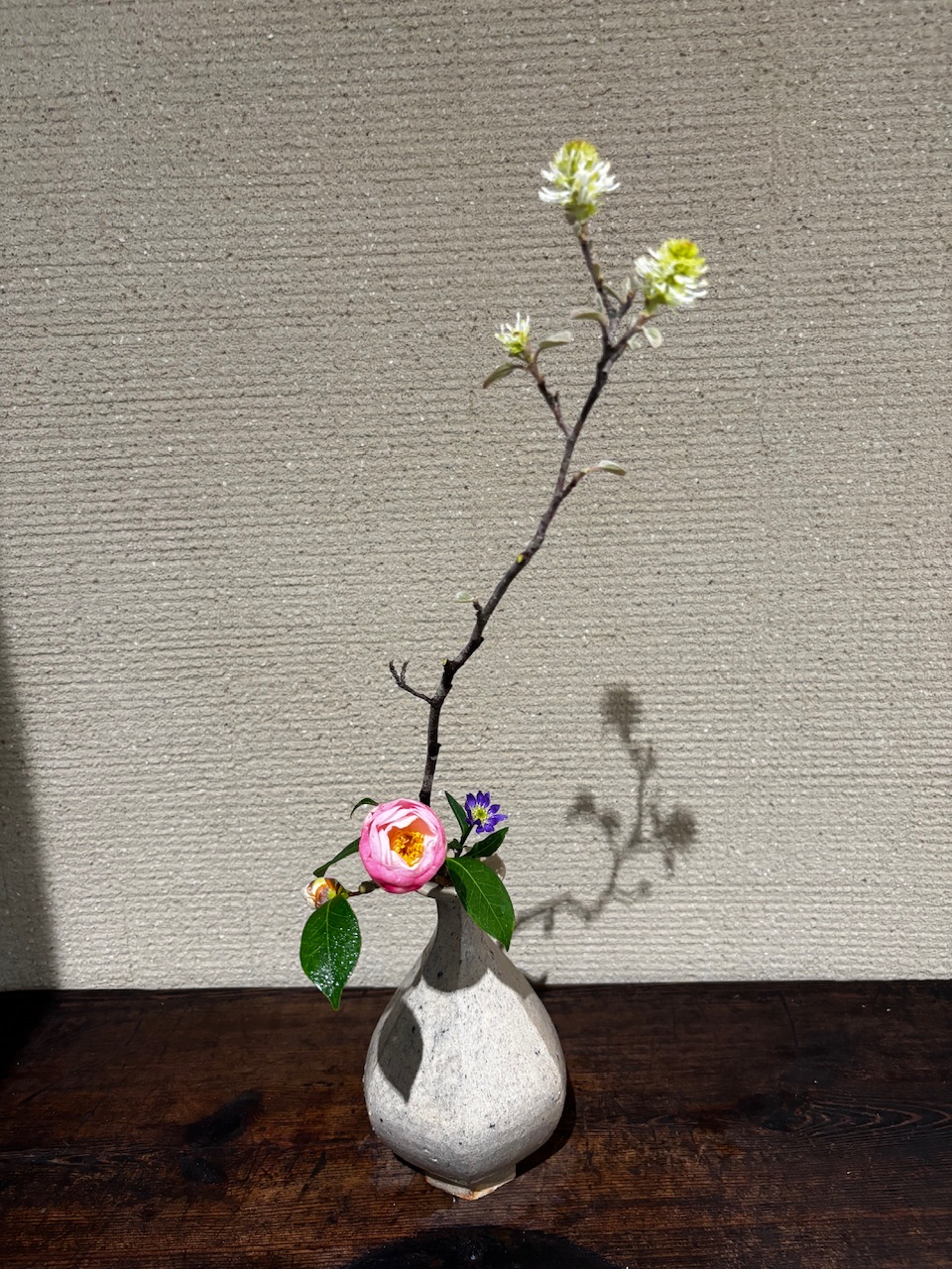 本日のクリニックの花々