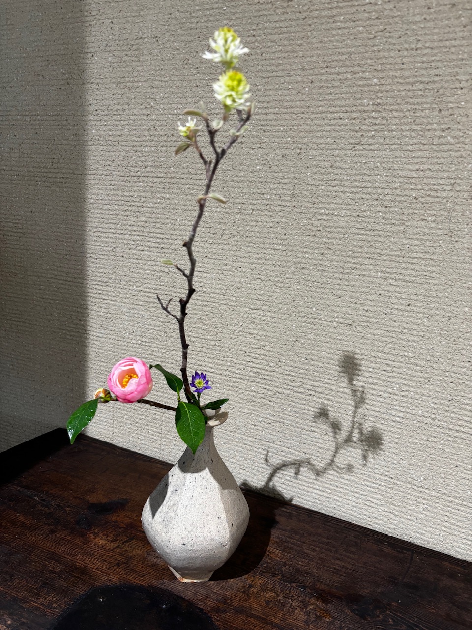 本日のクリニックの花々