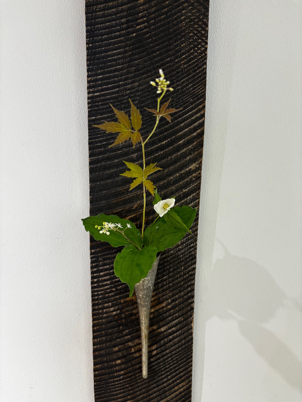 本日のクリニックの花々