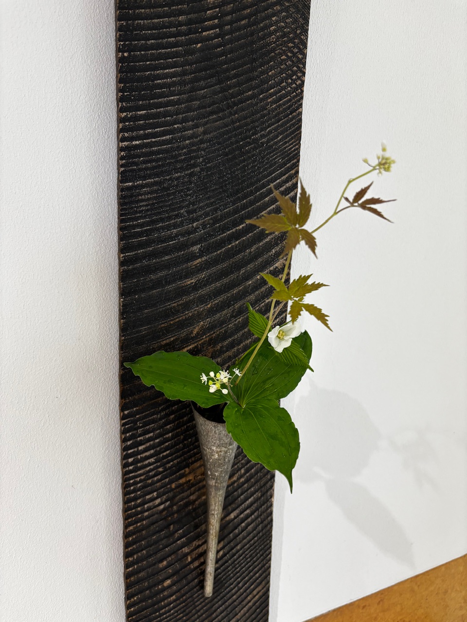 本日のクリニックの花々