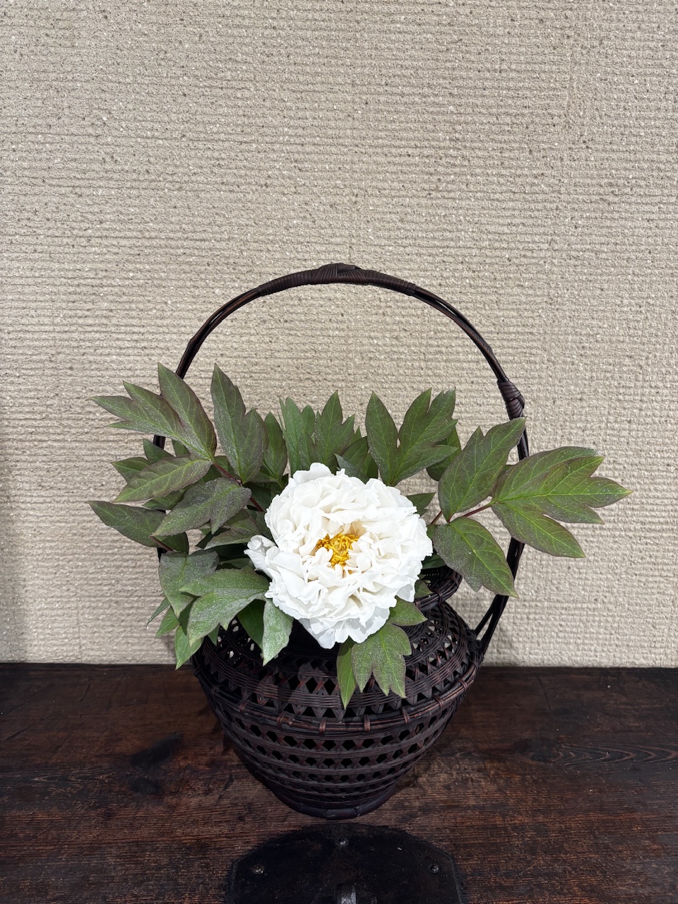 本日のクリニックの花々
