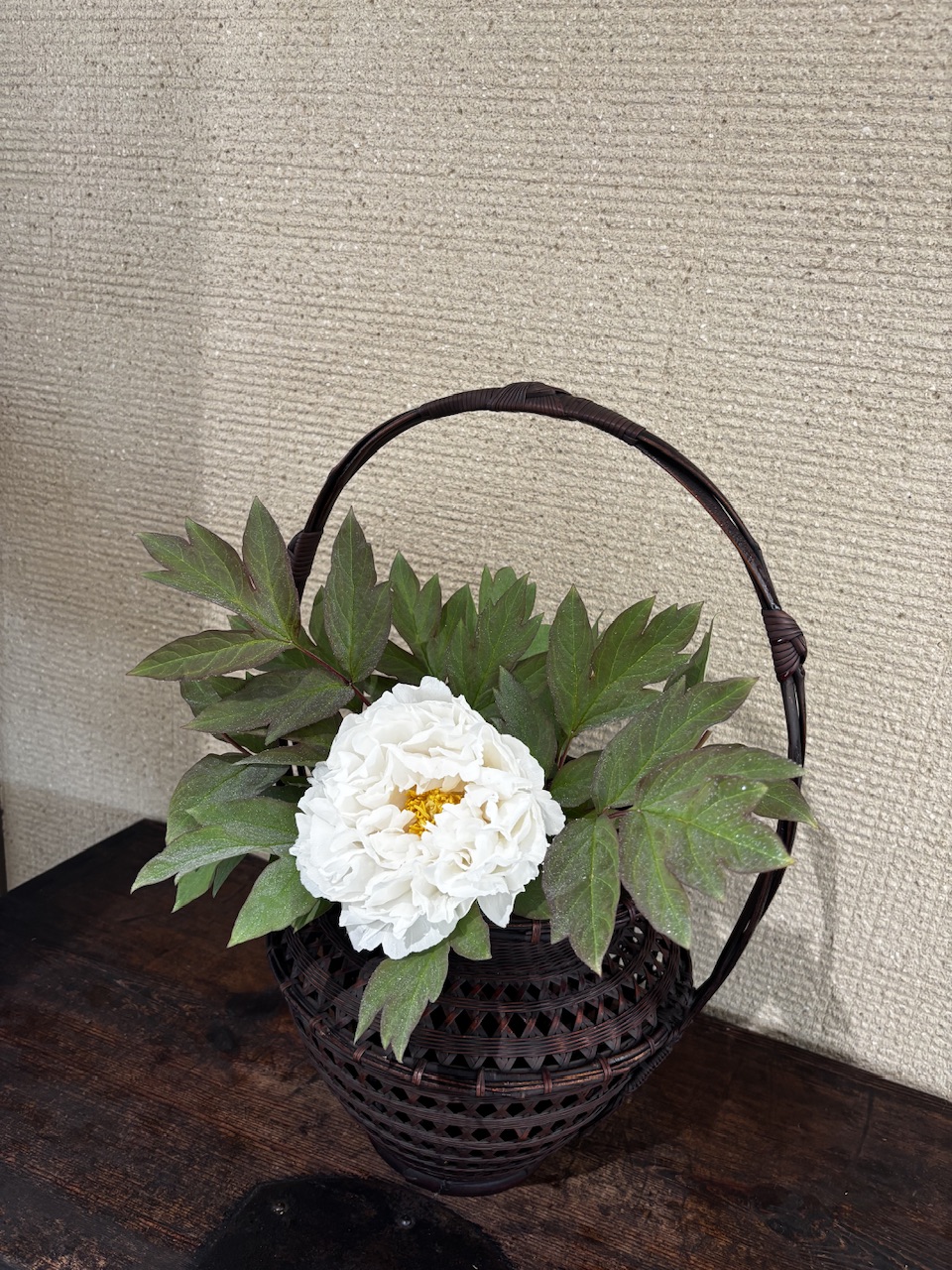 本日のクリニックの花々
