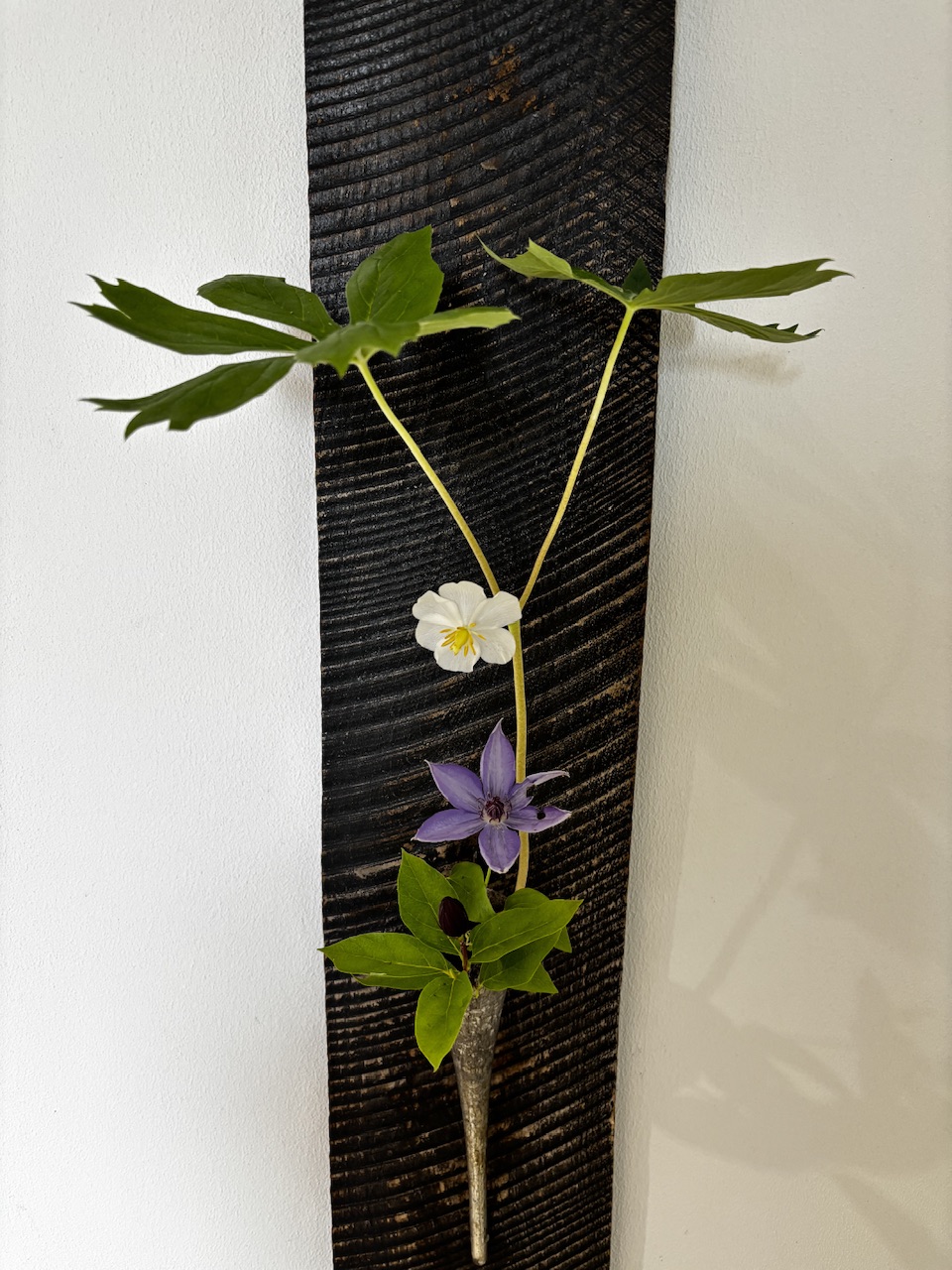 本日のクリニックの花々