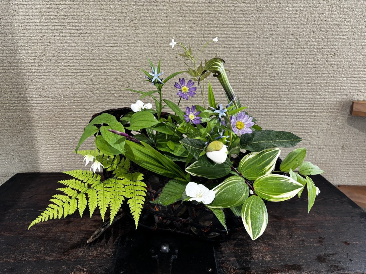 本日のクリニックの花々