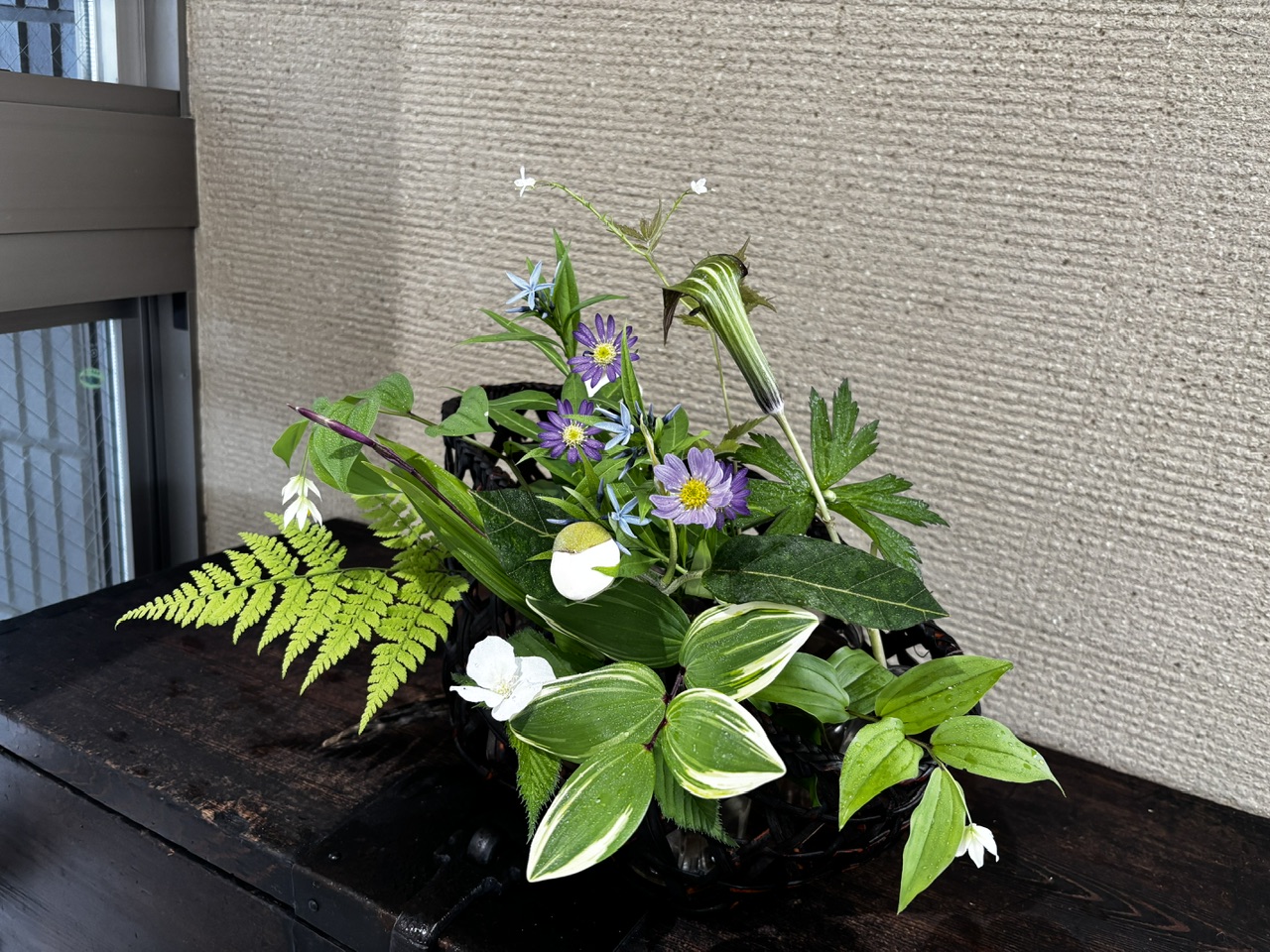 本日のクリニックの花々