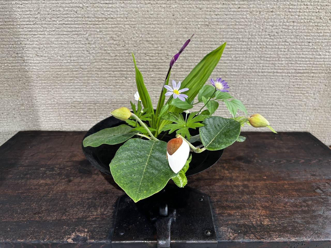 本日のクリニックの花々