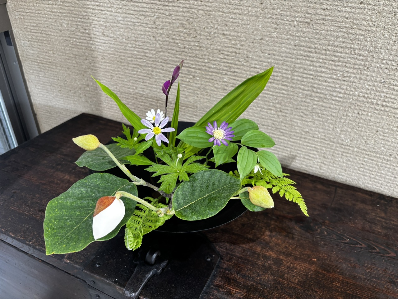本日のクリニックの花々
