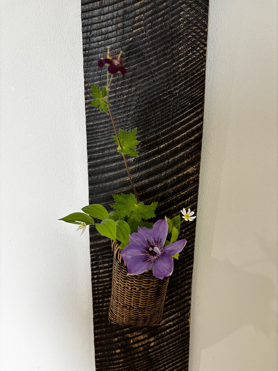 本日のクリニックの花々