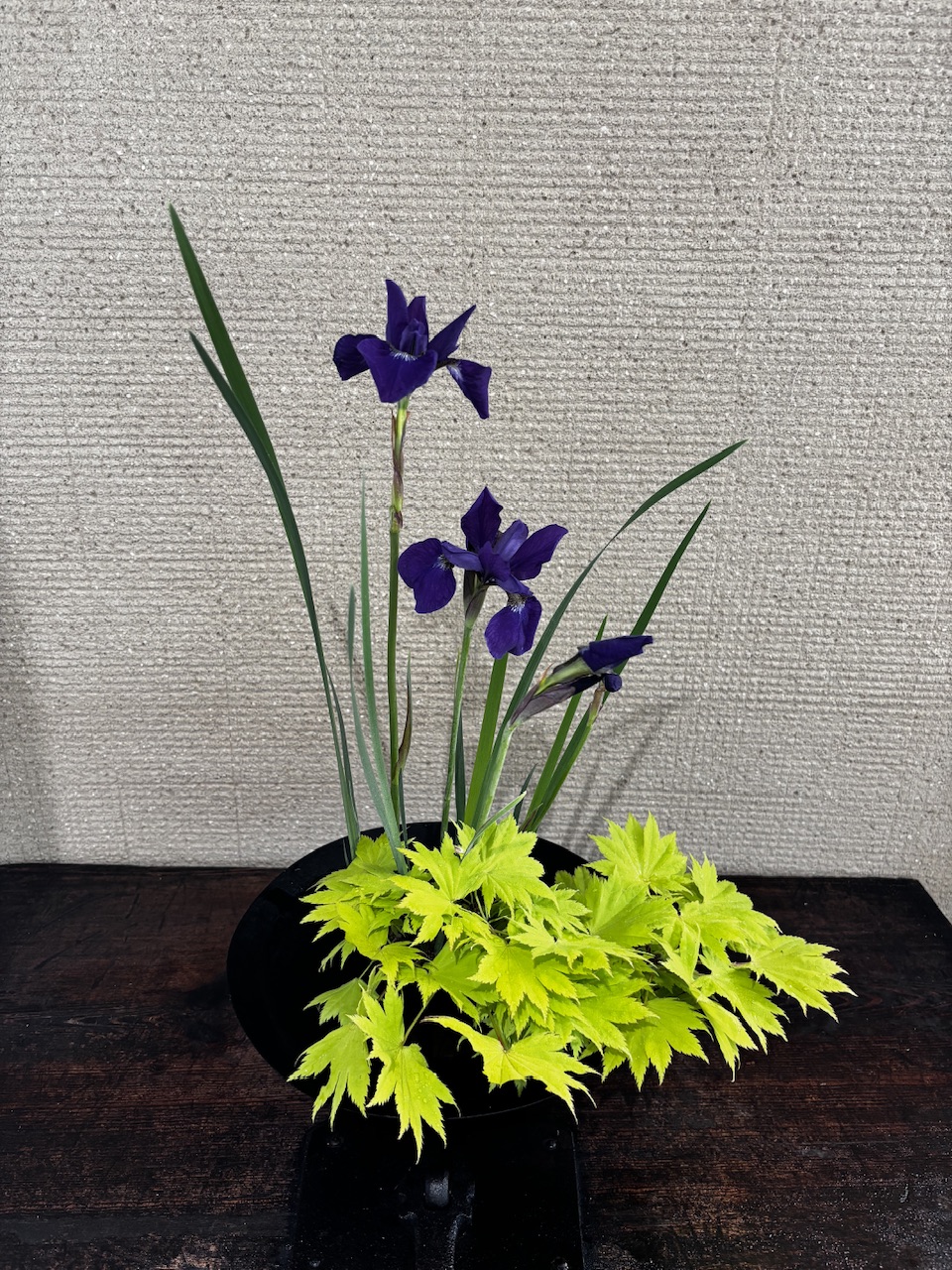 本日のクリニックの花々