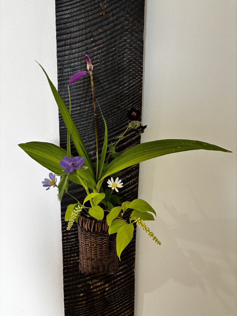 本日のクリニックの花々
