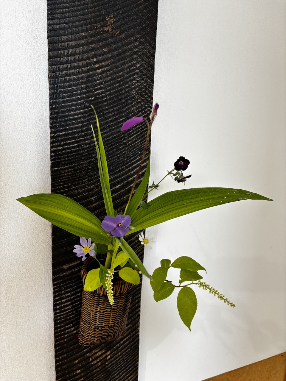 本日のクリニックの花々