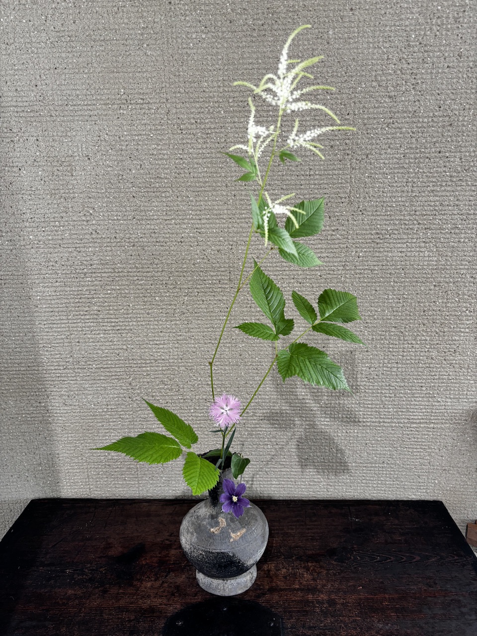 本日のクリニックの花々