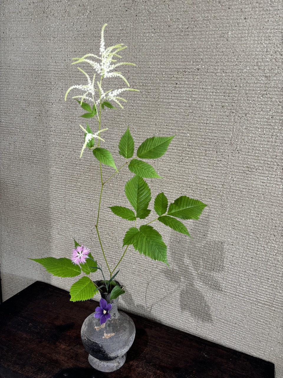 本日のクリニックの花々