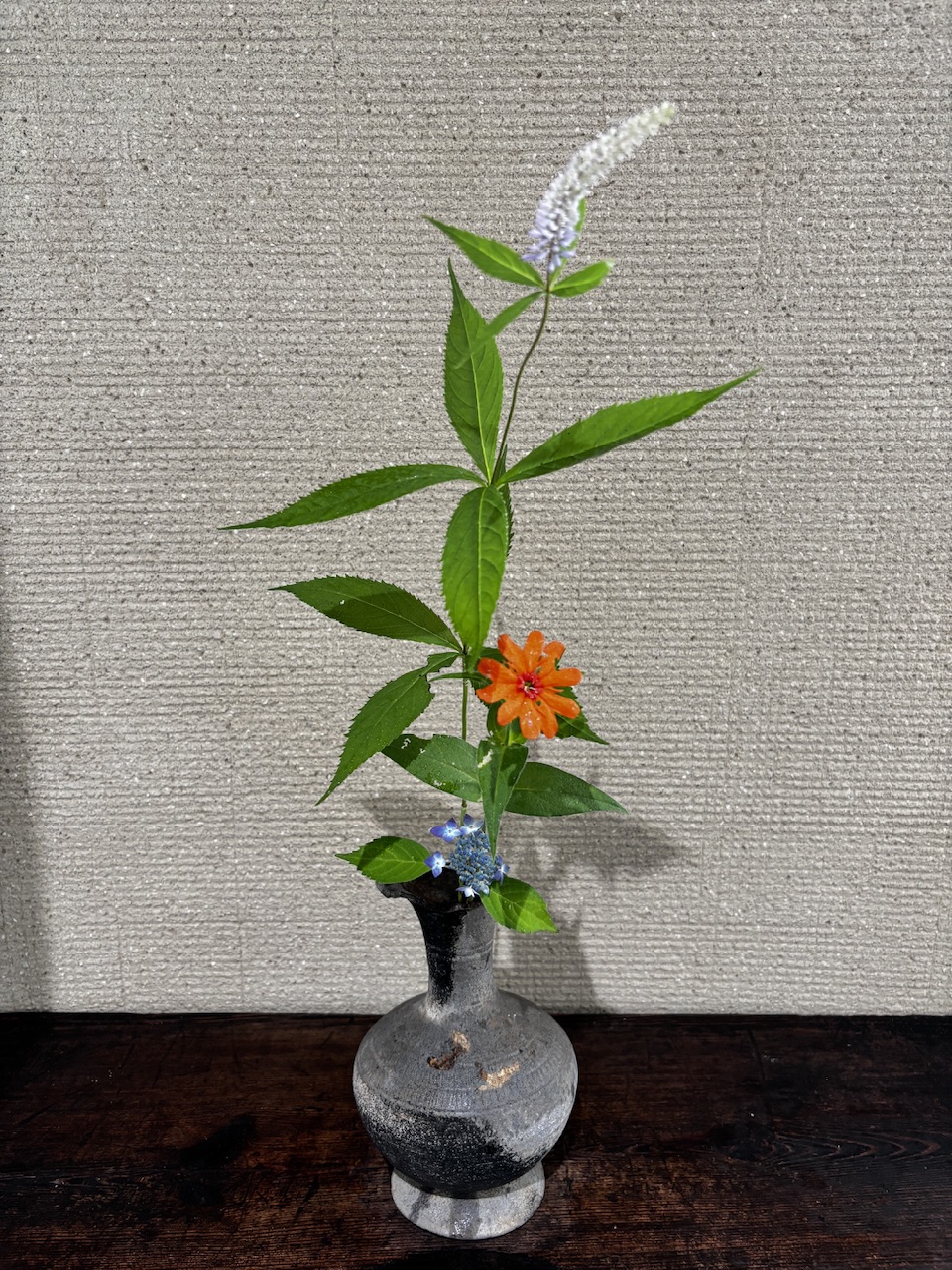 本日のクリニックの花々