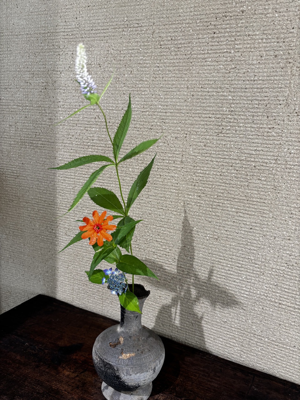 本日のクリニックの花々