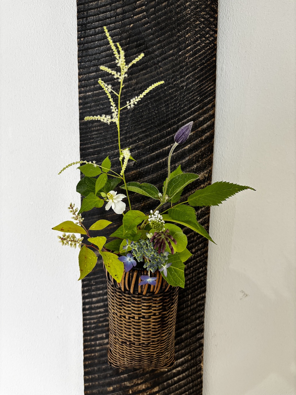 本日のクリニックの花々
