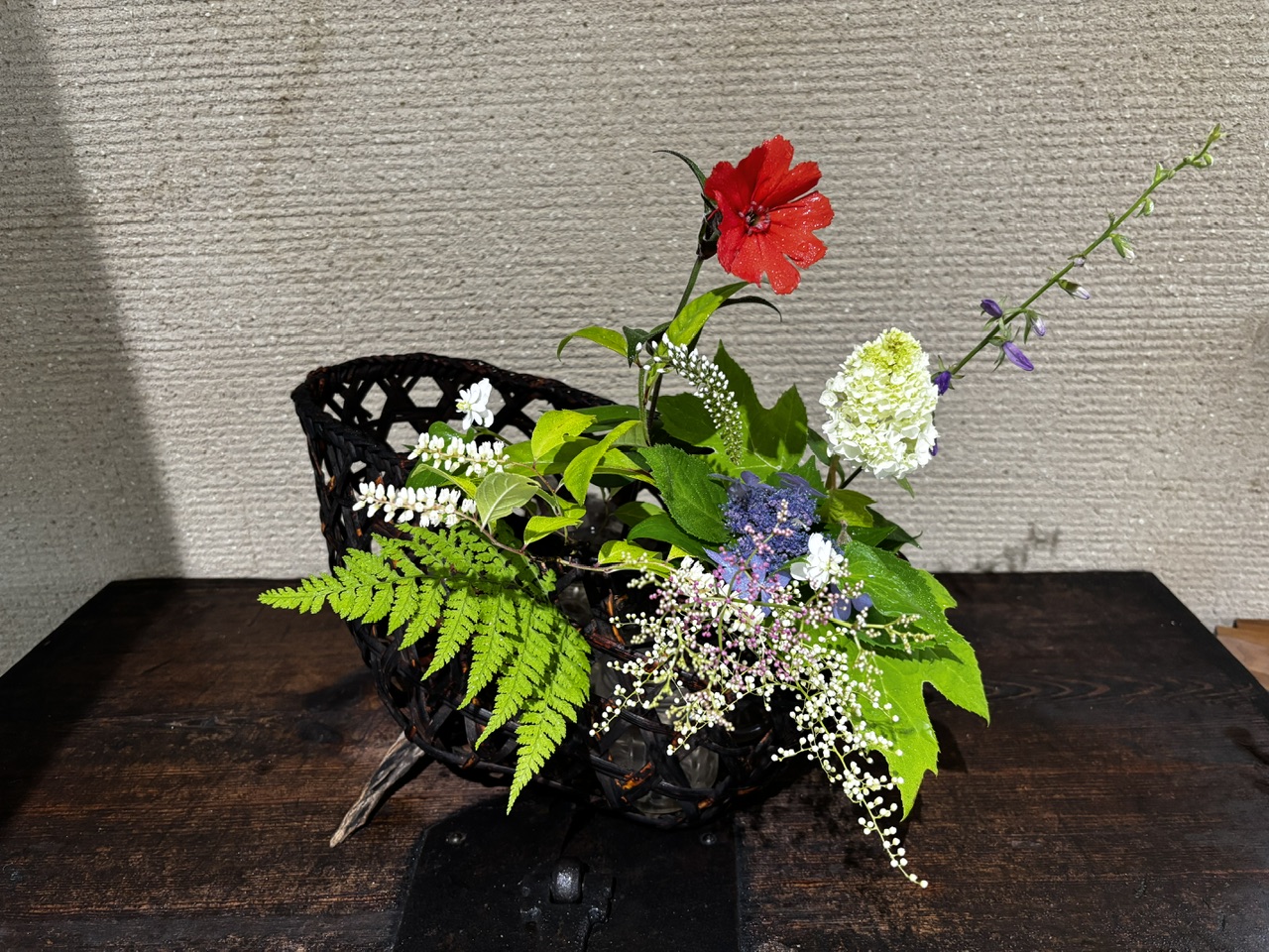 本日のクリニックの花々