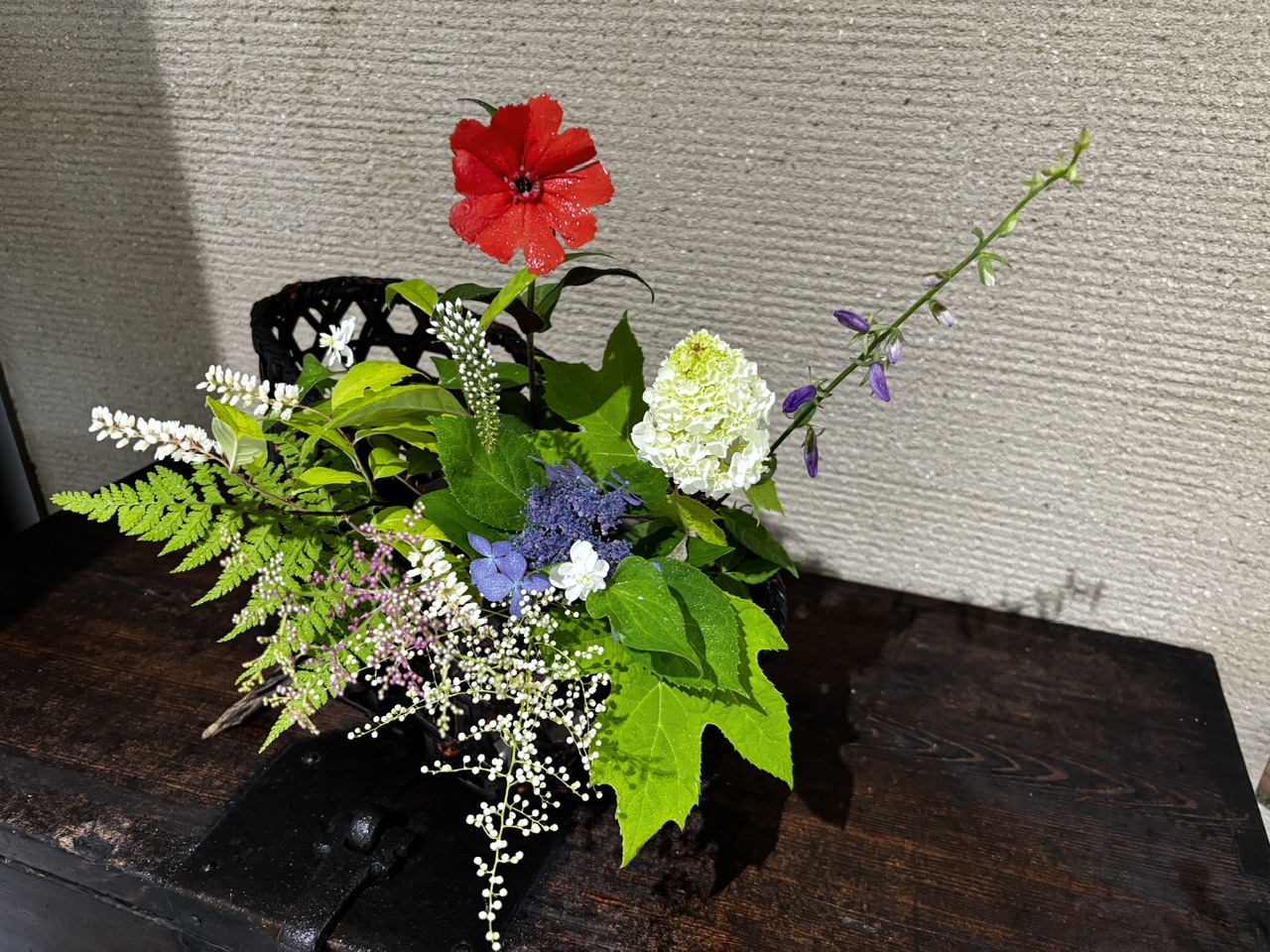 本日のクリニックの花々