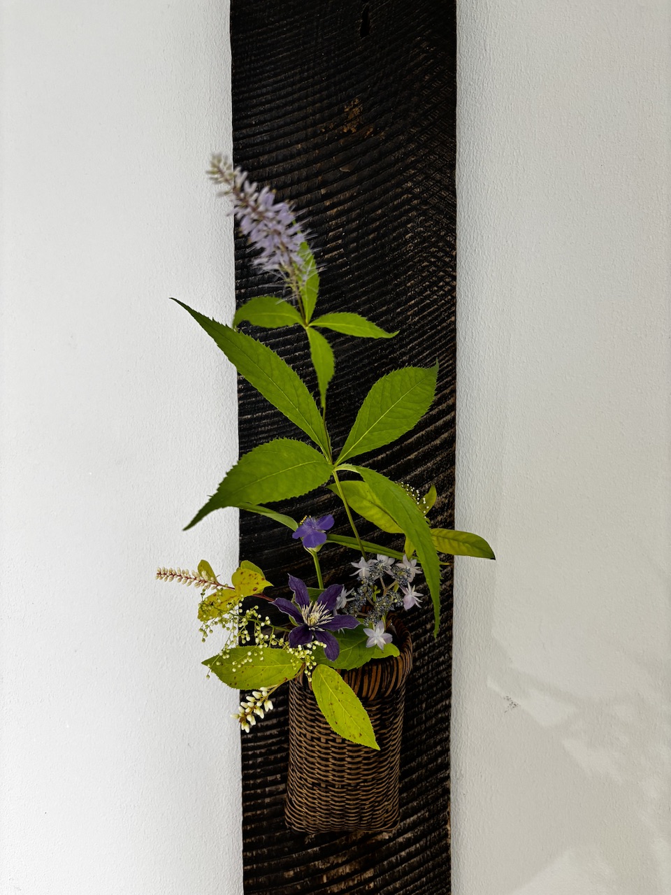 本日のクリニックの花々