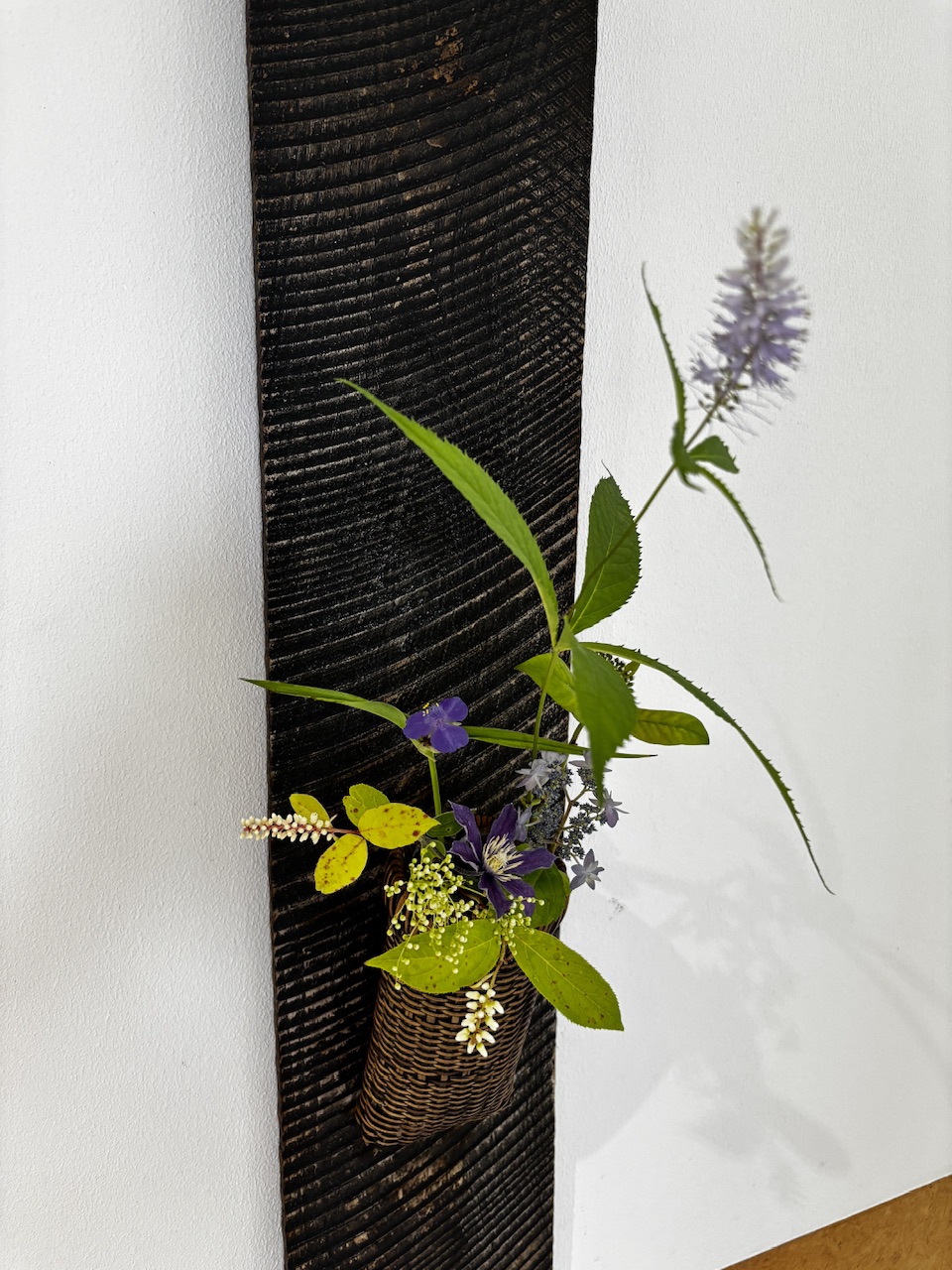 本日のクリニックの花々