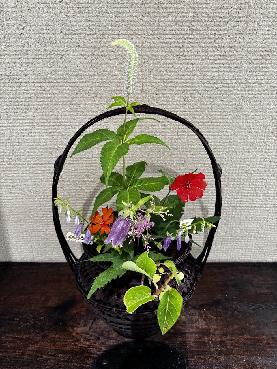 本日のクリニックの花々