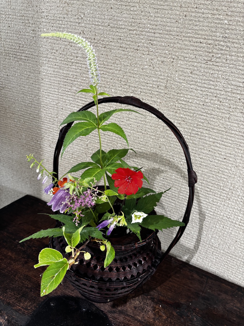 本日のクリニックの花々