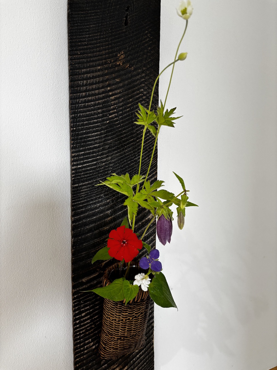 本日のクリニックの花々