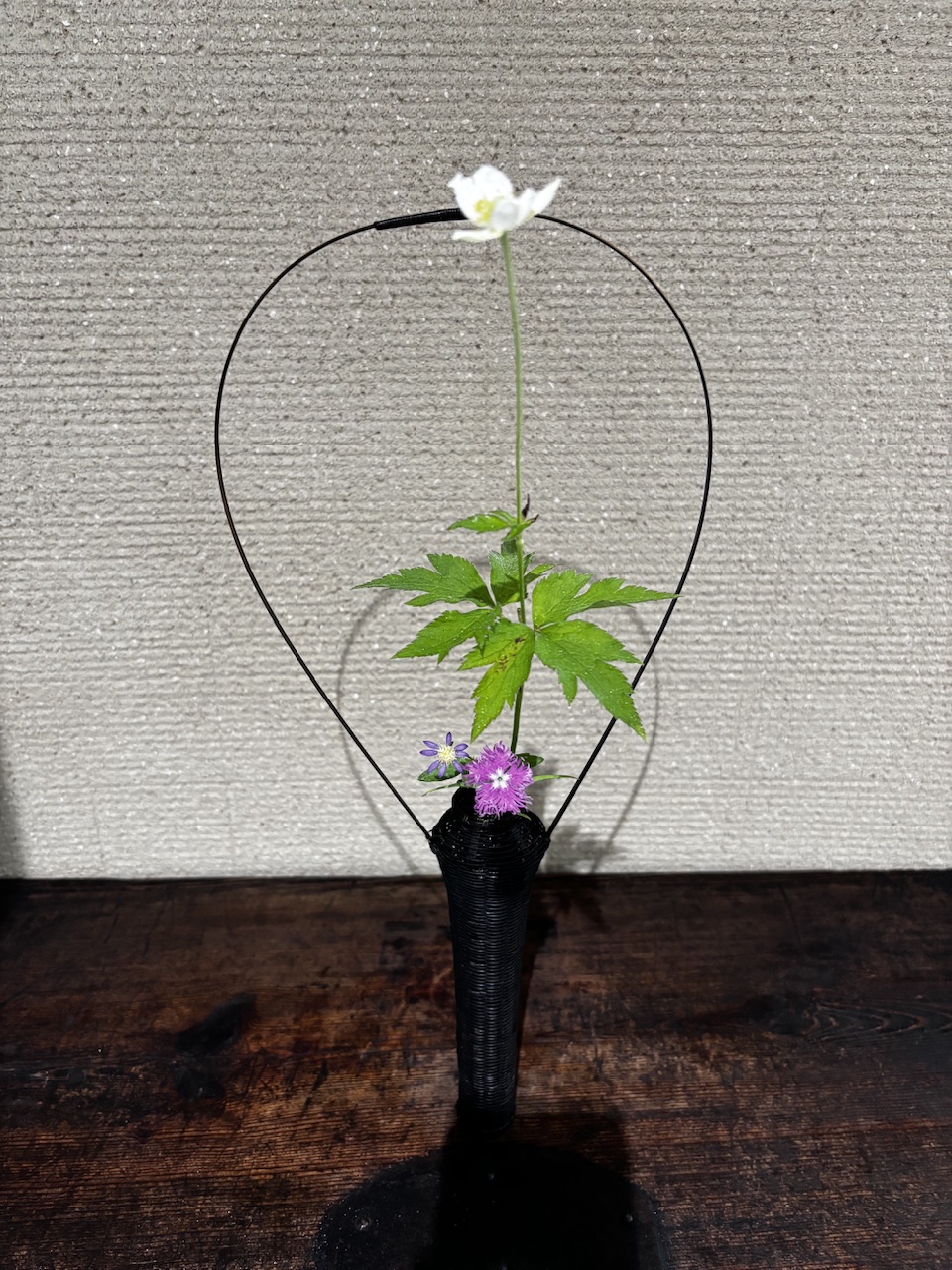 本日のクリニックの花々