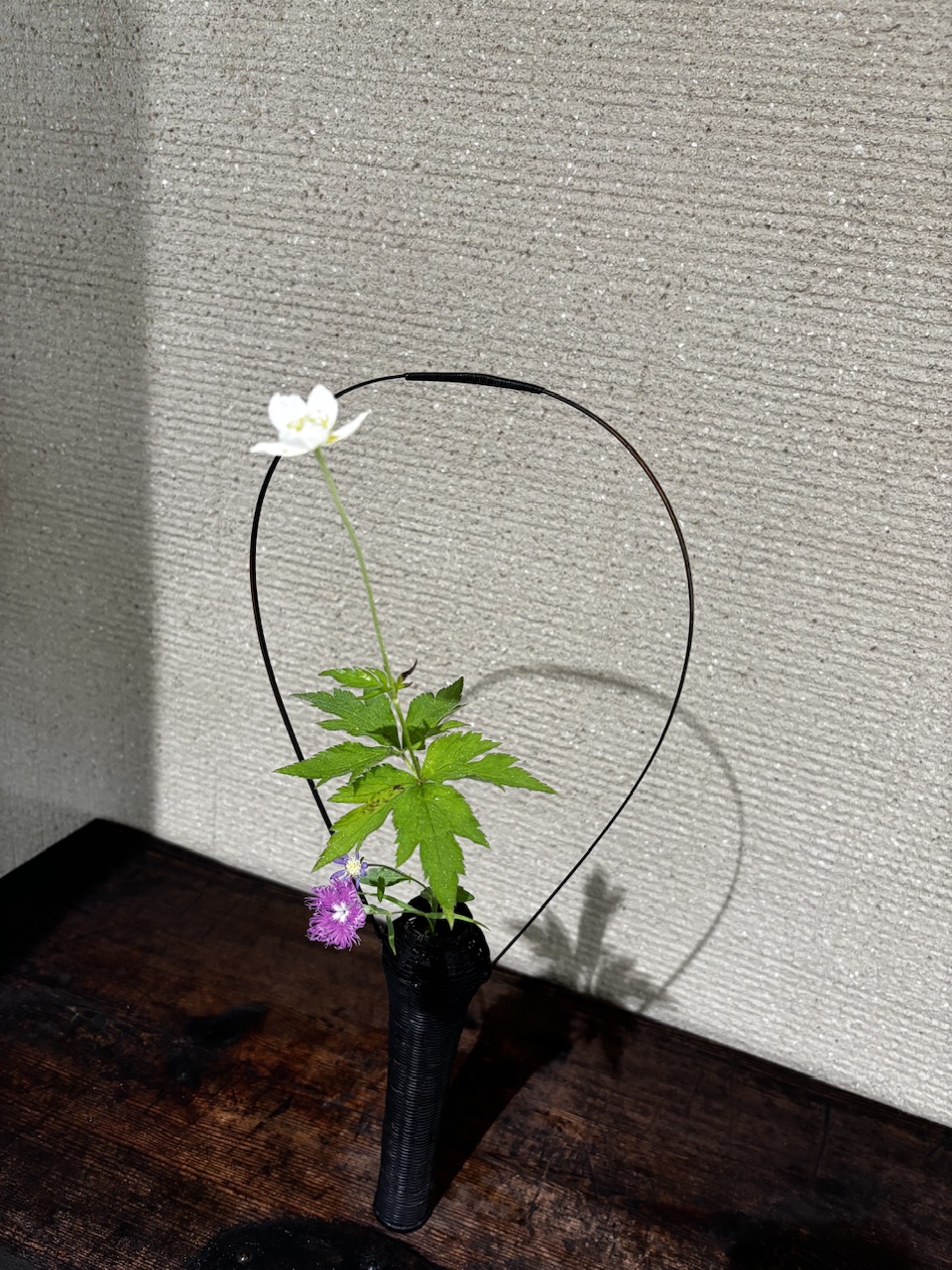 本日のクリニックの花々
