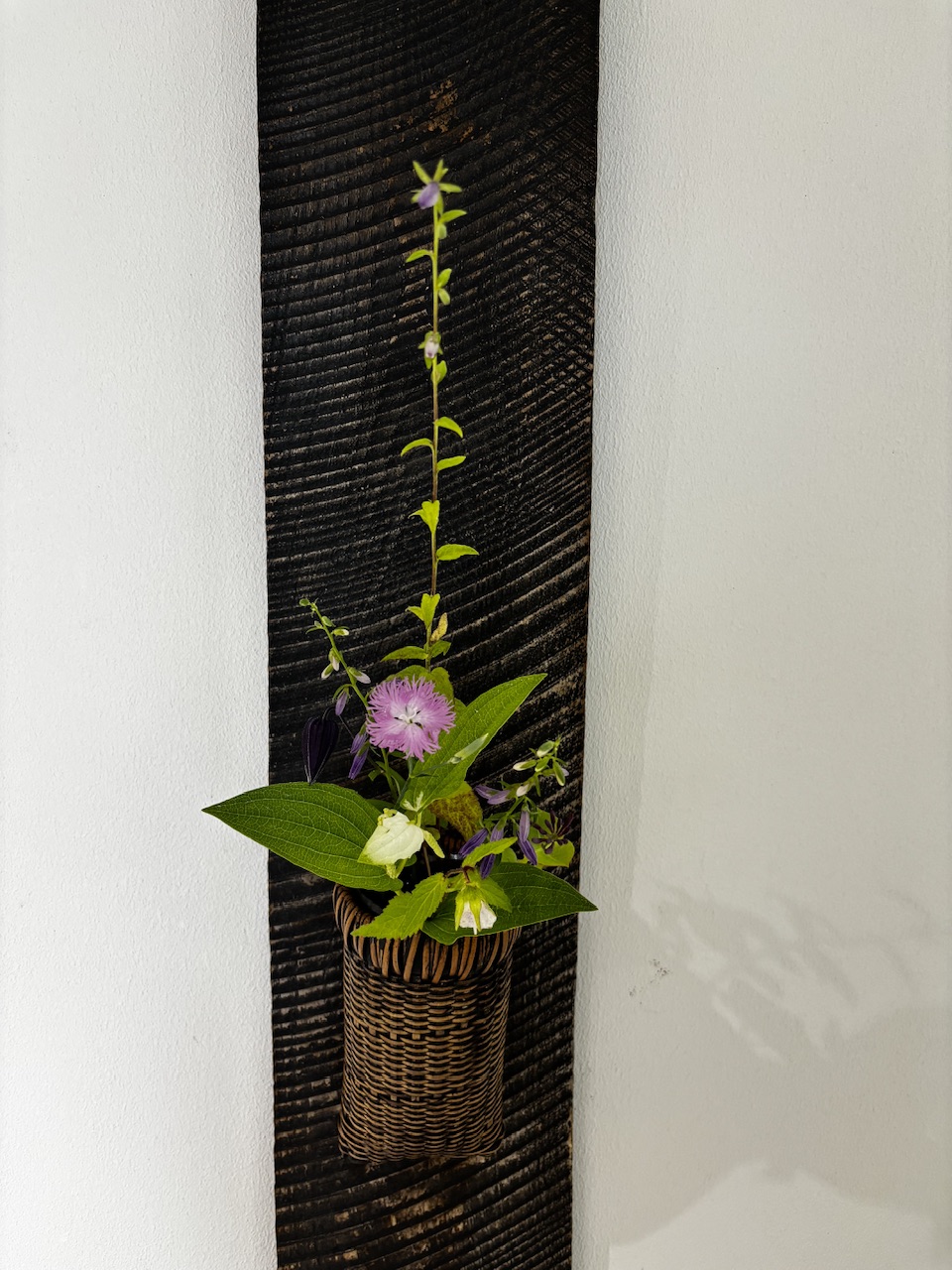 本日のクリニックの花々