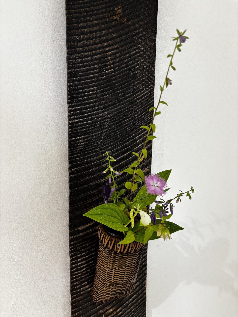 本日のクリニックの花々