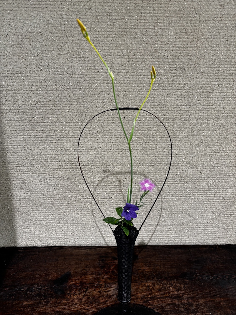 本日のクリニックの花々