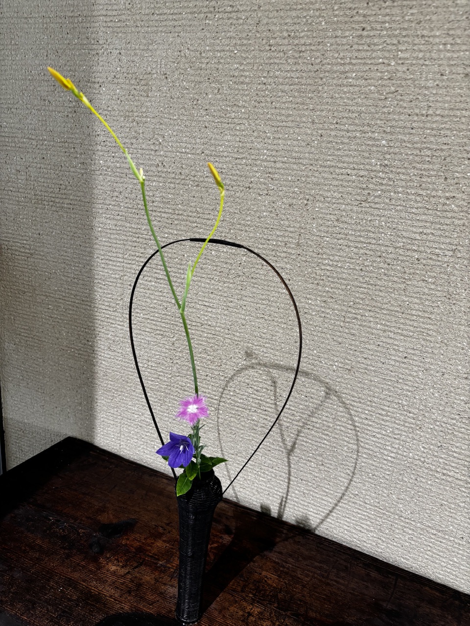 本日のクリニックの花々